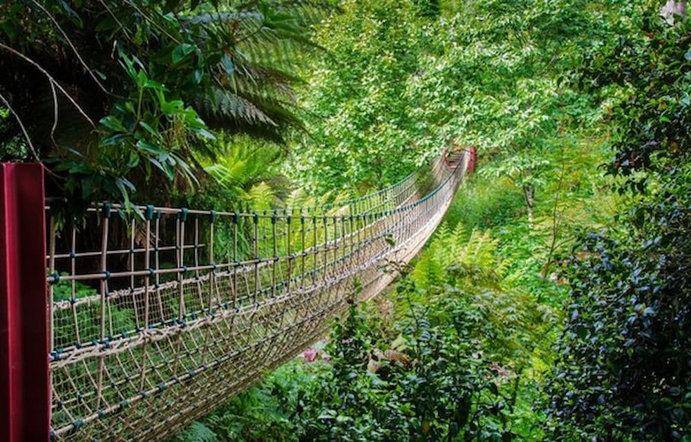 #3. Lost Gardens of Heligan