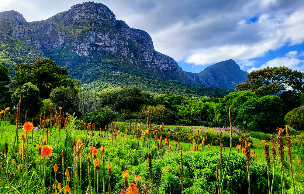 Kirstenbosch National Botanical Garden 