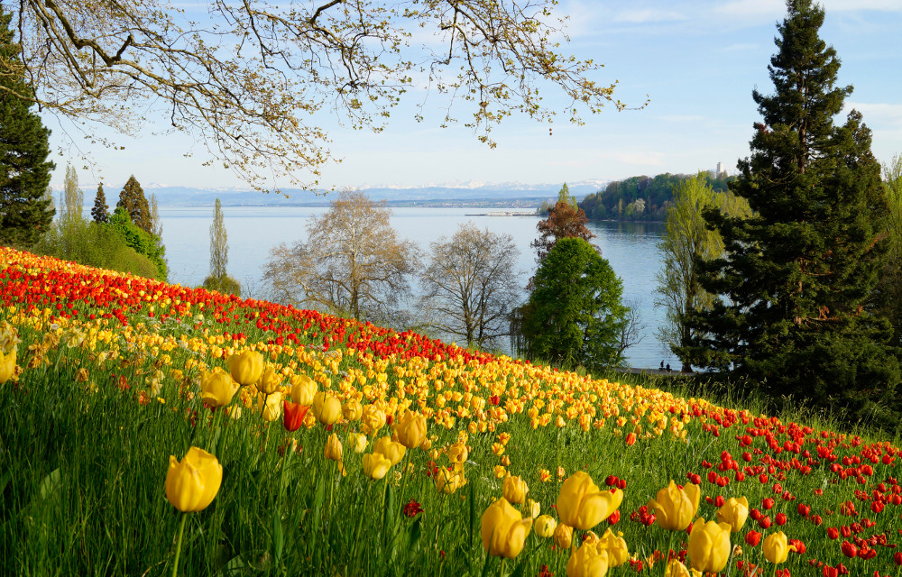 #2. Mainau Island, Germany