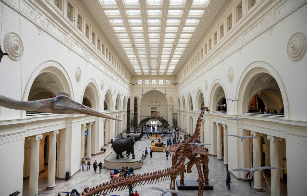 The Field Museum