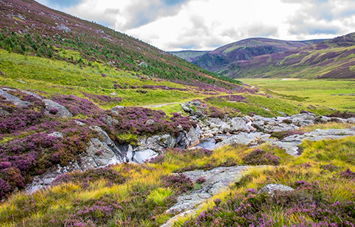 Cairngorms National Park