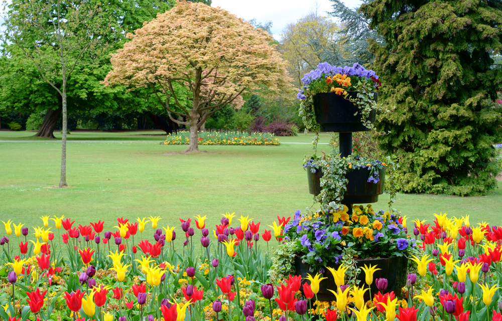 Cannon Hill Park