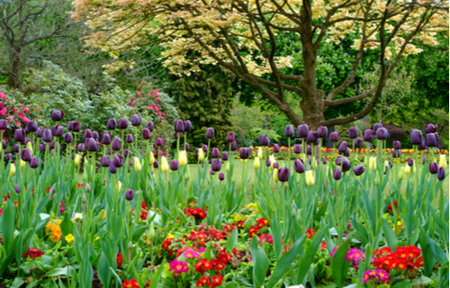 Cannon Hill Park