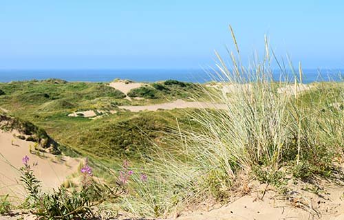 Merthyr Mawr Sand Dunes