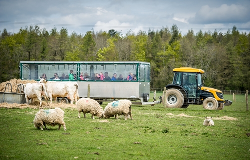 Cotswold Farm Park