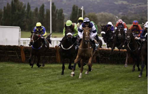 Cheltenham Festival