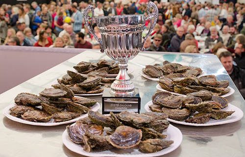 Falmouth Oyster Festival