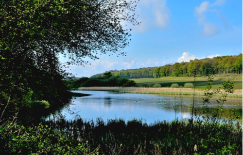 Sprotbrough Flash Nature Reserve