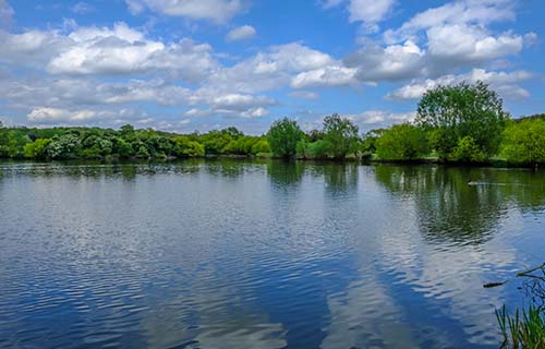 Hainault Forest 