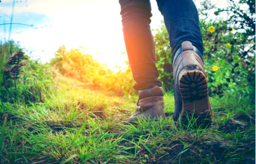 Walking tours