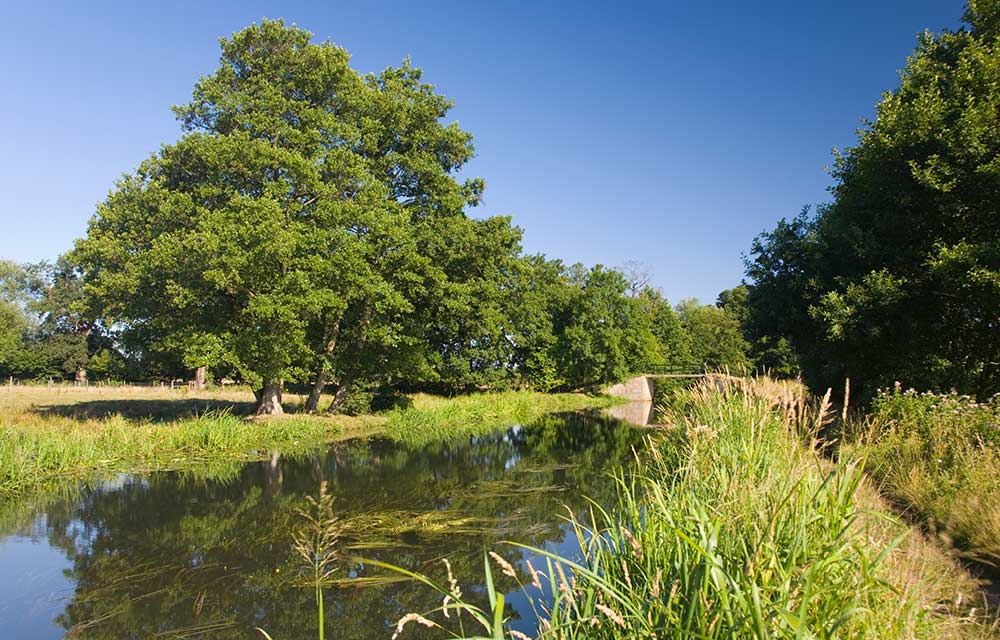 River Wey in Surrey 