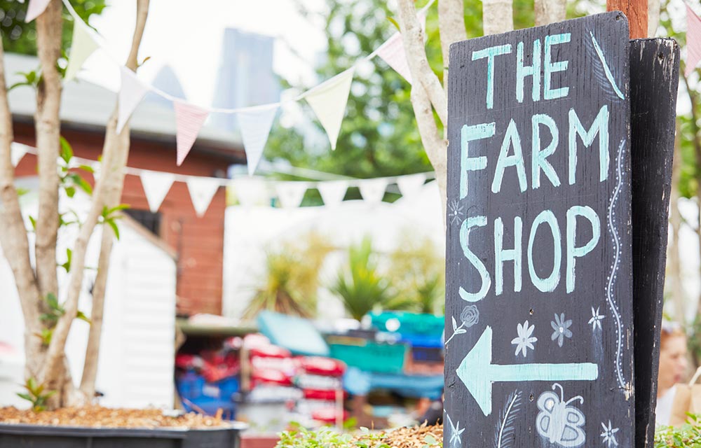 Spitalfields City Farm in Tower Hamlets