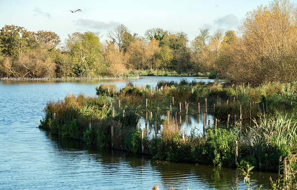 Walthamstow Wetlands Nature Reserve in Walthamstow 