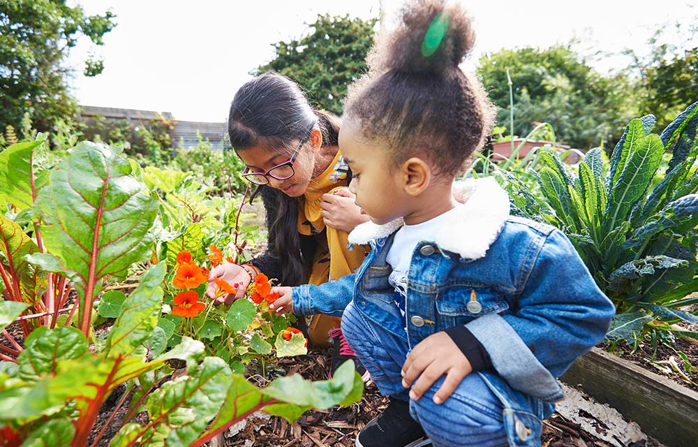 Centre for Wildlife Gardening in Peckham 