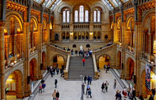 Natural History Museum