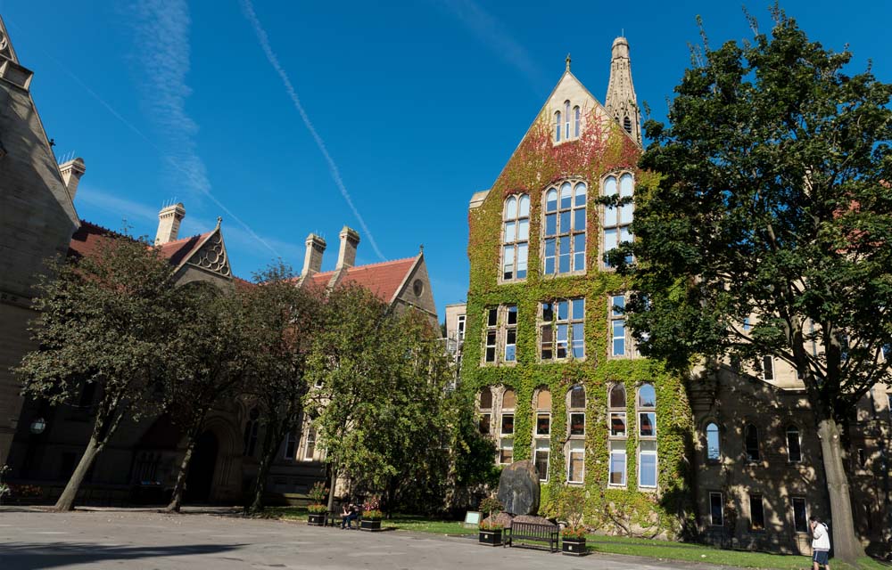 Ice Age Boulder (Andesite Boulder) – Uni of Manchester