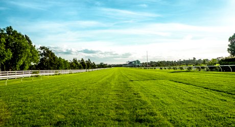 Accessibility at Newcastle races