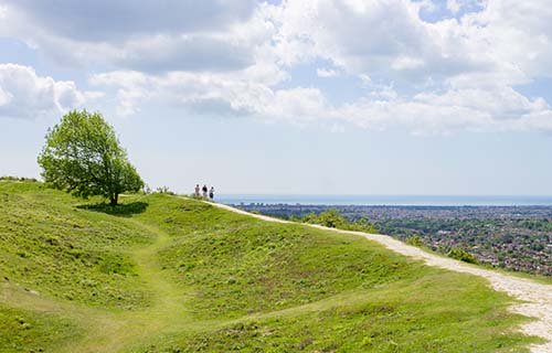 Cissbury Ring