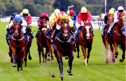 York Races