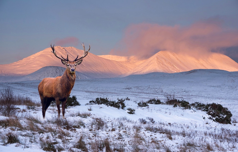 The Scottish Highlands