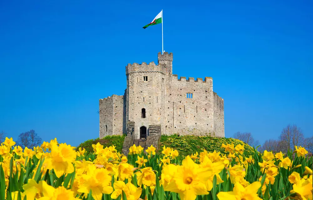 Spring in Cardiff