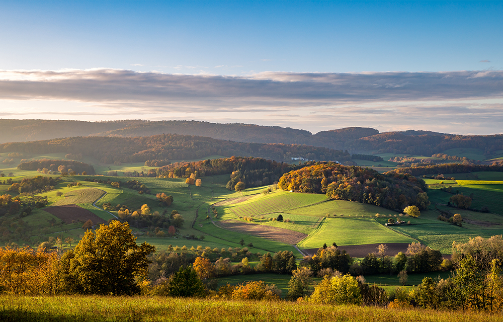 Odenwald